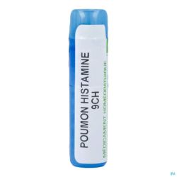 Boiron Granules Pulmo Anaphylactica 9ch 4 G