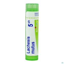 Boiron Granules Lachesis Mutus 5ch 4 G