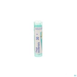 Boiron Granules Thuya Occidentalis 30k 4 G