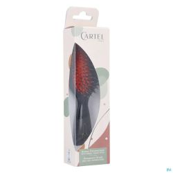 Cartel Brosse Pneumatique Nylon Sanglier Sac