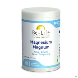 Magnesium 500 90g