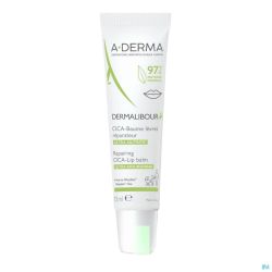 Aderma Dermalibour+ Cicabaume Lèvres 15ml