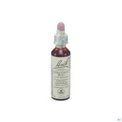 Bach Fleurs Chestnut Bud 3411 20 Ml