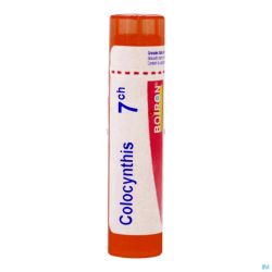 Colocynthis 7ch Gr 4g Boiron