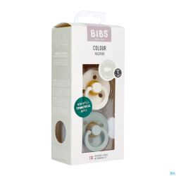 Bibs 1 Sucette Symmetric Duo Sage/ivory
