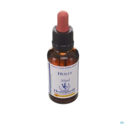 Healing Herbs Holly 30ml