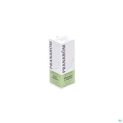 Pranarom Marjolaine 485 Huile Essentielle 5 Ml