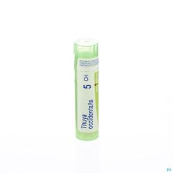 Boiron Granules Thuya Occidentalis 5ch 4 G