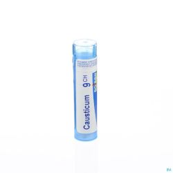 Boiron Granules Causticum Hahnemanni 9ch 4 G