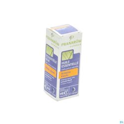 Armoise Blanche Hle Ess 10ml Pranarom