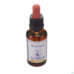 Healing Herbs Mustard 30ml