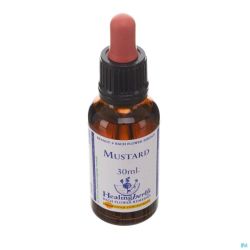 Healing Herbs Mustard 30ml