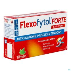 Flexofytol Forte Comprimés Pell 28 