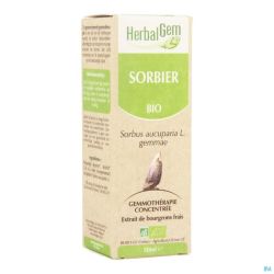 Herbalgem Sorbier Macerat Bio 50 Ml