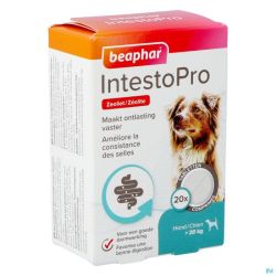 Beaphar Intesto Pro Chien M/l Comprimés 20