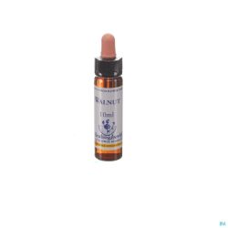 Healing Herbs Walnut Ue 10 Ml