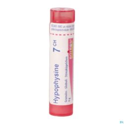Hypophysine 7ch Granules 4g Boiron