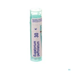 Boiron Granules Eupatorium Perfoliatum 30k 4