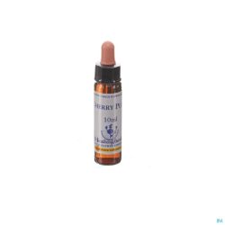 Healing Herbs Cherry Plum Ue 10 Ml