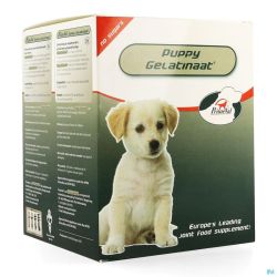 Primeval Puppy Artrose Gelatinate 350g