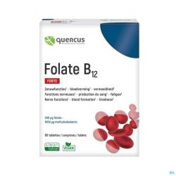 Quercus Folate B12 Comprimés 80
