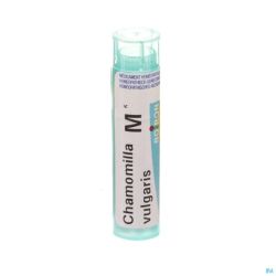 Boiron Granules Chamomilla Vulgaris Mk 4 G