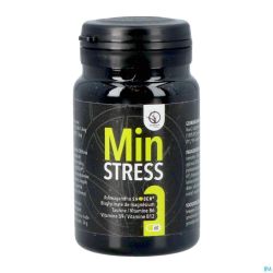Minstress Comp 60