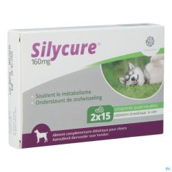 Silycure 160mg Comprimés 2x15