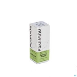 Pranarom Gaultherie Couchee 281 Huile Essentielle 10 Ml