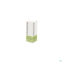 Pranarom Origan 478 Huile Essentielle 10 Ml