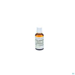 Ciste Ladanifere Hle Ess 30ml Pranarom