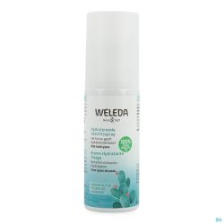 Weleda Brume Hydra Visage 24h Figuier Barb. 100ml