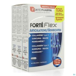 Forte Flex Articulations 90 Gélules 1 Mois Gratuit