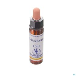 Healing Herbs Mustard Ue 10 Ml