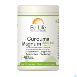 Curcuma Magnum 3200 Bio 60g