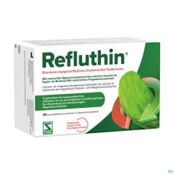 Refluthin Fruit Comprimés à Croquer 48