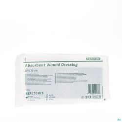 Klinion Pansement Absorbant 20x20cm S 1 4170013