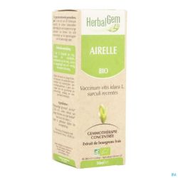 Herbalgem Airelle Macerat Bio 50 Ml