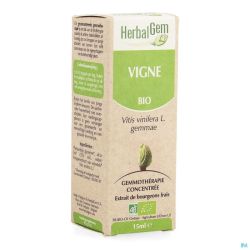 Herbalgem Vigne Macerat Bio 15 Ml
