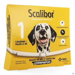 Scalibor Collier 65cm Chien