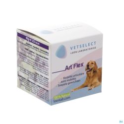 Artflex Vétérinaire 100 G