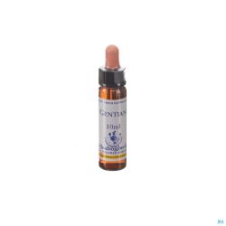 Healing Herbs Gentian 10ml