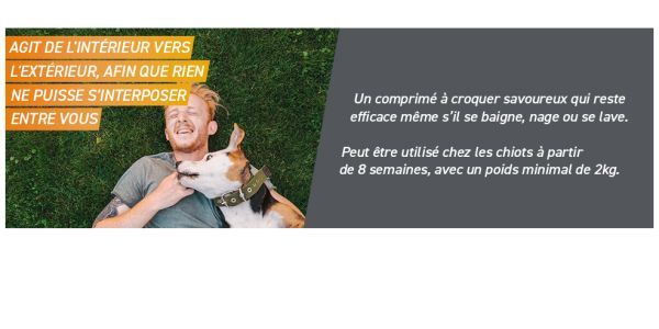 Frontpro: enfin une manière facile de protéger son chien !