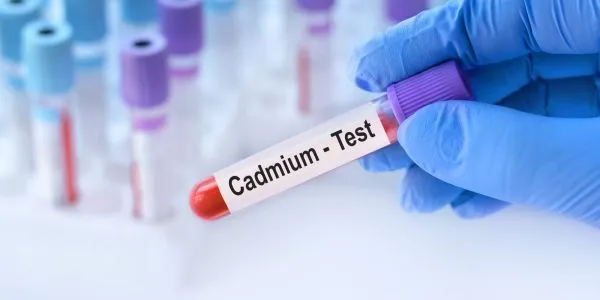 Cadmium : le dernier scandale de santé publique ? Que faut-il savoir ?