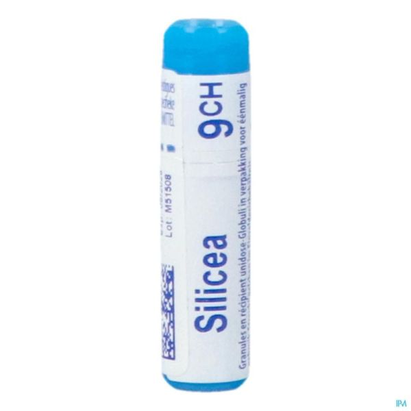 Unda Glob Silicea 9ch