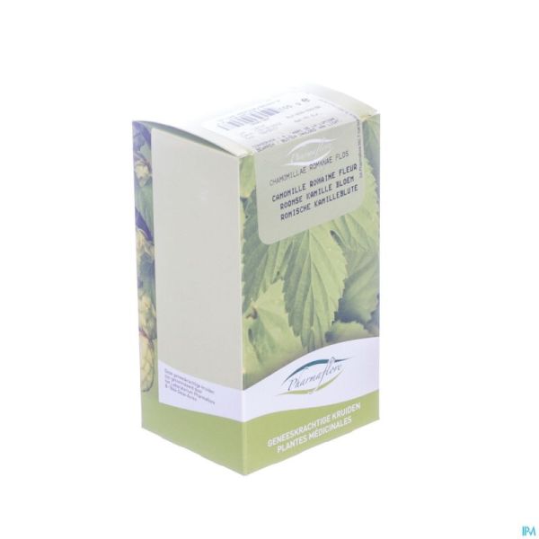 Kamillebloem Roomse Doos 100g Fag