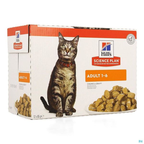 Hills Sc.plan Feline Adult Chicken 12x85g 2104pt