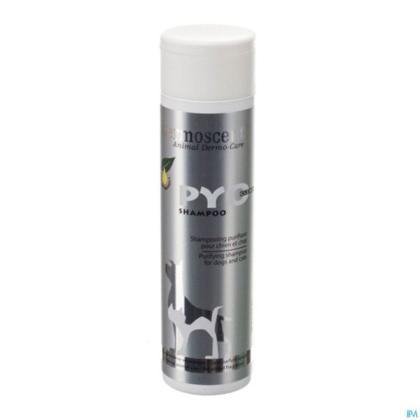 Dermoscent Pyoclean Shampoo Chien Chat Fl 200ml