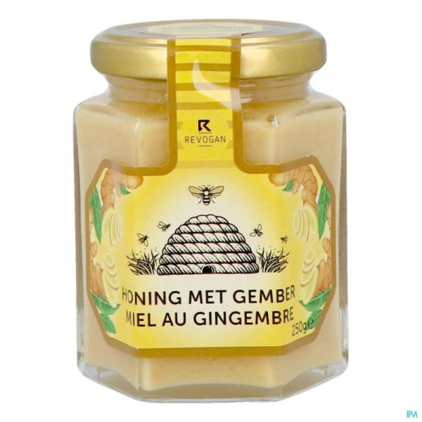 Revogan Miel Gingembre Solide 250g 3074