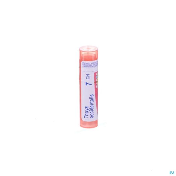 Boiron Granules Thuya Occidentalis 7ch 4 G